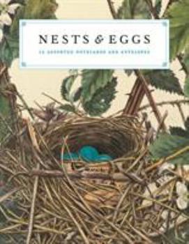 Cards Nests and Eggs Notecards Book