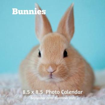 Bunnies 8. 5 X 8. 5 Calendar September 2019 -December 2020 : Monthly Calendar with U. S. /UK/ Canadian/Christian/Jewish/Muslim Holidays-Cute Rabbits Pets