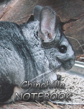 Chinchilla NOTEBOOK: Notebooks and Journals 110 pages (8.5"x11")