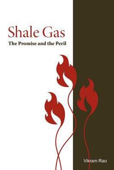 Paperback Shale Gas: The Promise and the Peril Book