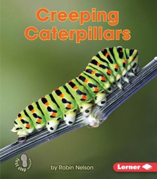 Creeping Caterpillars - Book  of the Backyard Critters