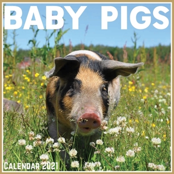 Baby Pigs Calendar 2021: Official Baby Pigs Calendar 2021, 12 Months