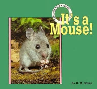 Hardcover It's a Mouse! Book