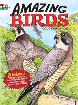 Paperback Amazing Birds Coloring Book