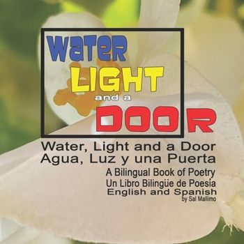 Paperback Water, Light and a Door: A Bilingual Book of Poetry Book