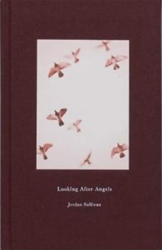 Hardcover LOOKING AFTER ANGELS, JORDAN SULLIVAN Book