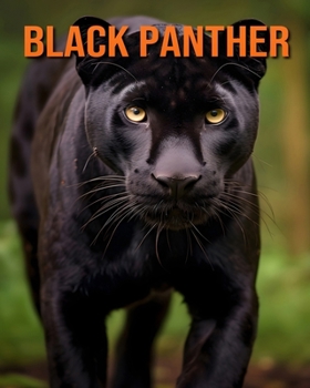 Paperback Black Panther: An Amazing Animal Picture Book for Kids Book