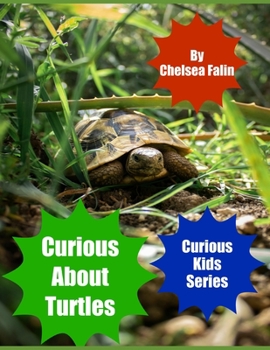 Curious About Turtles - Book #3 of the Curious Kids