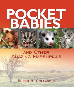 Pocket Babies And Other Amazing Marsupials (Junior Library Guild Selection) - Book  of the Junior Library Guild Selection