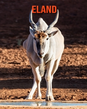 Paperback Eland: Amazing Photos & Fun Facts Book About Eland For Kids Book