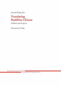 Paperback Translating Buddhist Chinese: Problems and Prospects Book