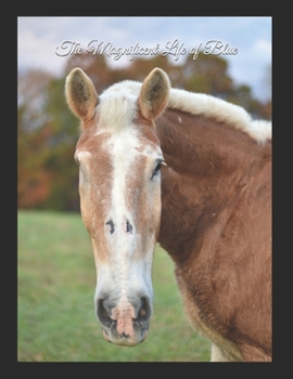 Paperback The Magnificent Life of Blue Book