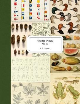 Paperback Vintage Prints: Vol. 12 Book
