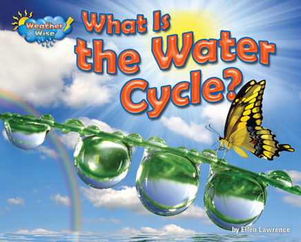 Paperback What Is the Water Cycle? Book