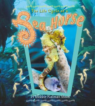 Hardcover Life Cycle of a Sea Horse Book