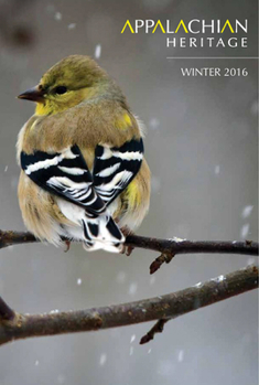 Paperback Appalachian Heritage - Winter 2016: Volume 44, Issue 1 Book