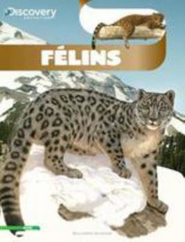 Paperback Félins [French] Book