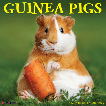 Calendar Guinea Pigs 2025 12 X 12 Wall Calendar Book