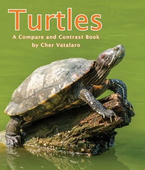 Paperback Turtles: A Compare and Contrast Book