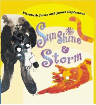 Hardcover Sunshine & Storm Book