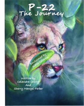 Hardcover P-22 The Journey Book
