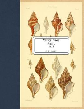 Paperback Vintage Prints: Shells: Vol. 8 Book