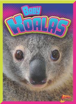 Paperback Baby Koalas Book