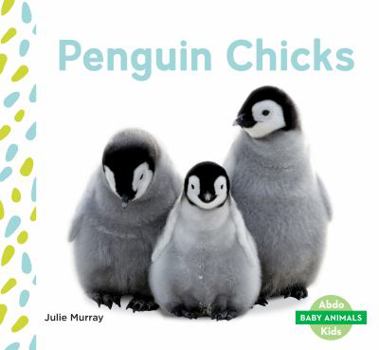 Library Binding Penguin Chicks Book