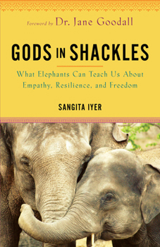 Paperback Gods in Shackles: What Elephants Can Teach Us about Empathy, Resilience, and Freedom Book