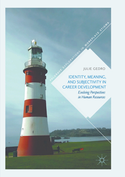 Paperback Identity, Meaning, and Subjectivity in Career Development: Evolving Perspectives in Human Resources Book