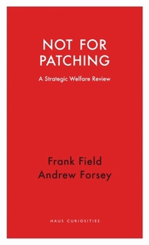 Paperback Not for Patching: A Strategic Welfare Review Book