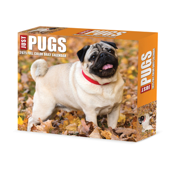 Calendar Pugs 2025 6.2 X 5.4 Box Calendar Book