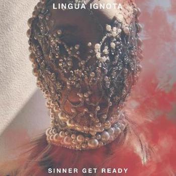 Vinyl Sinner Get Ready Book