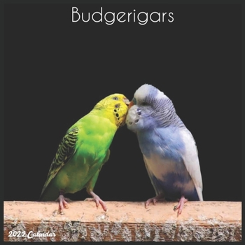 Budgerigars 2022 Calendar: Official Budgerigar Birds Calendar 2022, 16 Month Square Calendar