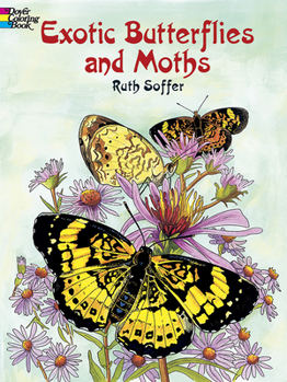 Paperback Exotic Butterflies and Moths Coloring Book