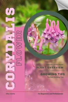 Corydalis: Flower overview and Growing Tips