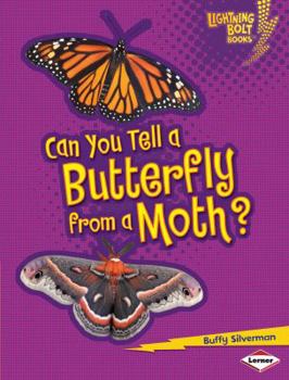 Can You Tell a Butterfly from a Moth? - Book  of the Animal Look-Alikes