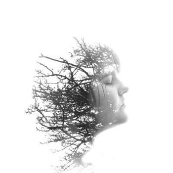 Paperback White Feather Book