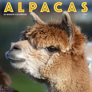 Calendar Alpacas 2025 12 X 12 Wall Calendar Book