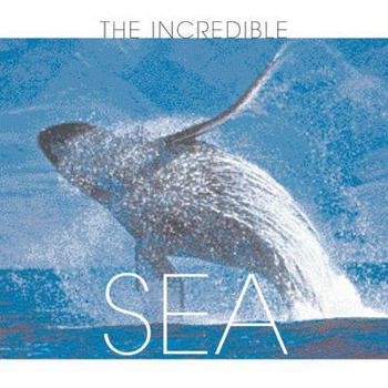 Hardcover The Incredible Sea. Valeria Manferto de Fabianis, Editor Book