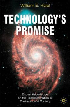 Hardcover Technology's Promise: Expert Knowledge on the Transformation of Business and Society Book