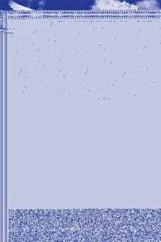 Paperback Verbal Visualizations Book