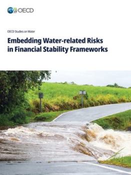 Paperback Embedding Water-related Risks in Financial Stability Frameworks Book