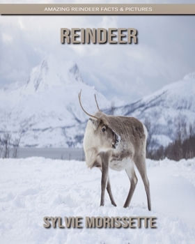 Paperback Reindeer: Amazing Reindeer Facts & Pictures Book