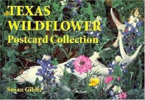 Paperback Texas Wildflower Postcard Collection Book