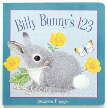 Board book Pledger Board Billy Bunny 123 Book