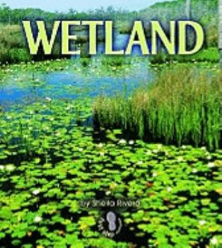 Paperback Wetland (First Step Nonfiction Habitats) Book