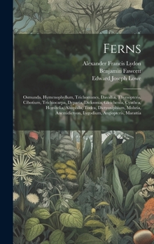 Hardcover Ferns: Osmunda, Hymenophyllum, Trichomanes, Davallia, Thyrsopteris, Cibotium, Trichiocarpa, Deparia, Dicksonia, Gleichenia, C Book