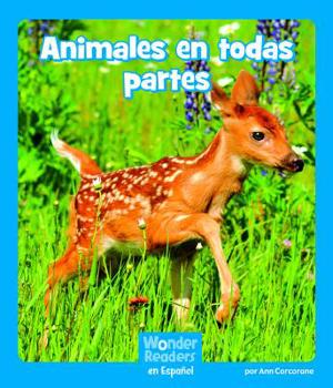 Paperback Animales En Todas Partes [Spanish] Book