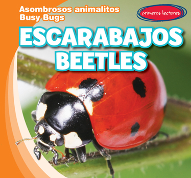 Beetles